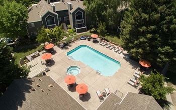 Refreshing pool